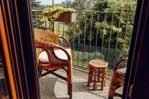 Dream Novello – Typical house of the Langhe – garden - Image 5