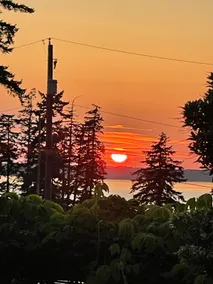 The Madrone: Seclusion in Charming Fairhaven - Image 4