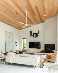 Nordic Lake Cabin : Sauna/Hot Tub/Pontoon Rental - Image 2