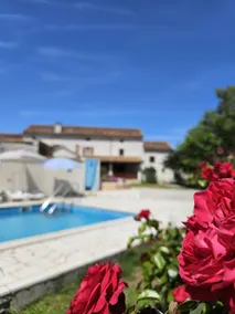 Stenhus med privat og stor pool, WiFi, aircondition, hårtørrer, sommerterrasse og grill - Image 3