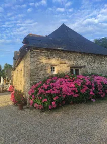 Cottage, quiet, relaxing, countryside, 8 - 10 people. - Image 3