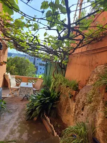 Bright 3 rooms with vine-covered terrace - Image 2