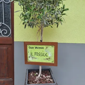 ”Il fossile” Holiday apartment Cin IT022104C2TSYBBPwO - Image 4