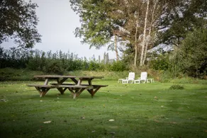 Landelijk gelegen bungalow De Kleine Wulfter - Image 3