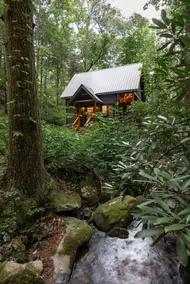 The Retreat at Fall Branch Falls - Image 4