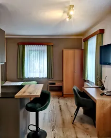 Single apartment between Salzburg and Hallein - Image 3