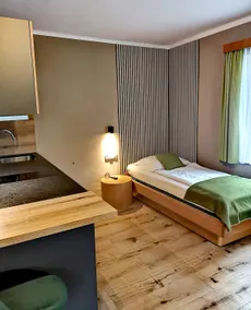 Single apartment between Salzburg and Hallein - Image 2