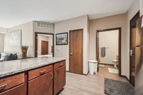 2 Bedroom Suite - Pet Friendly - Image 4