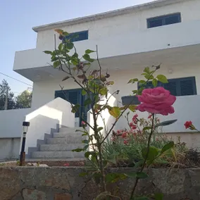 Beach front with terrace and see view Aprtment MARE - Image 3