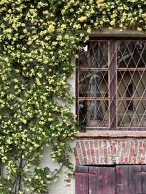 Murazzano, an independent House for all seasons - Image 3