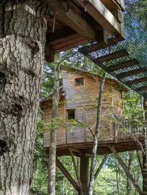 Nights in the mountains – The Grand Bois tree house - Image 3