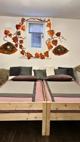 Family Wellness Jacuzzi Sauna Wood Fired Hot Tub 8 Min from Heviz - Image 4