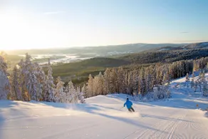 Beautiful apartment 5 min from Ski Slopes - Image 3