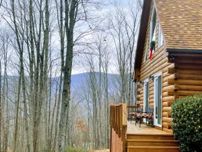 Blue Ridge Cabin~Mtn View~Gameroom~SNP & Lake 5mi - Image 4
