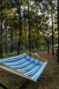 Woodsy Retreat - Cozy, private escape w/ firepit - Image 3