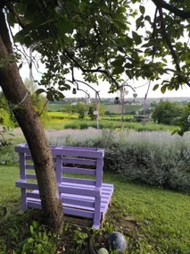 The lavender house between Venice and Cortina - Image 4