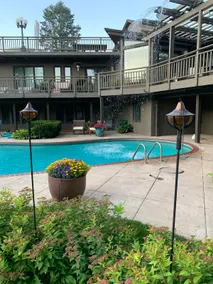 Summer Pool, Private Sauna, Steam Shower - Image 3
