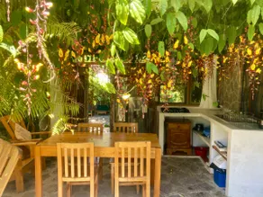 Luna cottage with kitchen 1-3pers garden lake view - Image 4