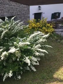 Villa Lucia appartamento Fiore - Image 2