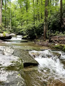 Moss Creek Waterfront Cabin Boone Perfect Location - Image 4