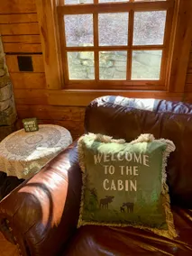 Peaceful, Secluded Cabin near Beaver Lake - Image 5