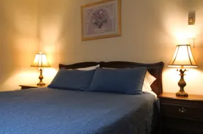Miraflor Guest House, family and pet friendly - Image 4