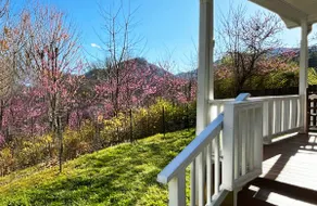 Miraflor Guest House, family and pet friendly - Image 3