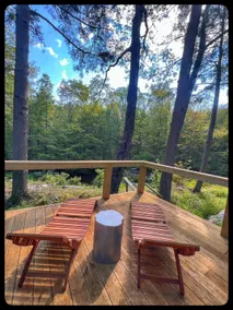 Remote Waterfall Cabin at Swiftwater Acres - Image 4