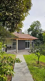 House in the Forest - Image 5