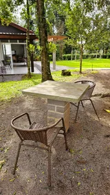 House in the Forest - Image 4