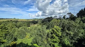 Byron Bay Hinterlands | Dreaming Woods Cabin Three - Image 4