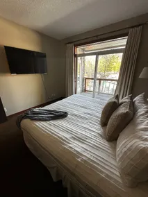 Lux Blackstone Mountain Suite with Amazing Views - Image 3