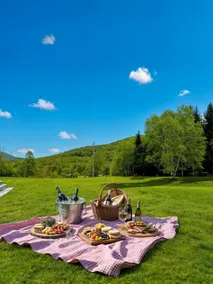 Catskills Mtn. Retreat, Hot Tub, Sauna & Fire Pit - Image 4