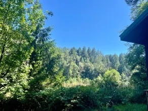 Cozy light-filled cabin in the woods - Image 2