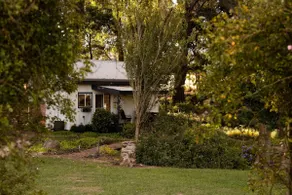 Sounds of a babbling brook and kookaburra laughter - Image 3
