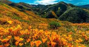 *Sky High Lux Villa*PRIVATE Hilltop Sleeps 18 - Image 2