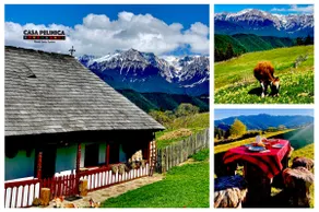 Casa Pelinica a charming traditional house - Image 2