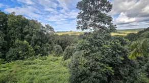 Byron Bay Hinterlands - Dreaming Woods Studio - Image 5