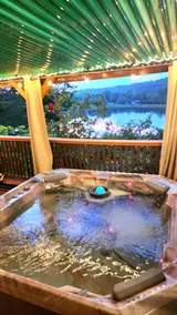 Lake&Hunter Ski Resort Luxury Lodge/Hot Tub, Sauna - Image 2