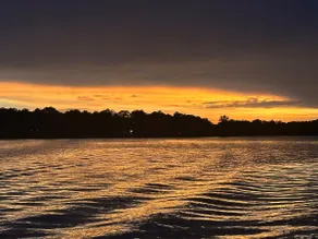 Peaceful Retreat at Beautiful Lake Carroll - Image 2