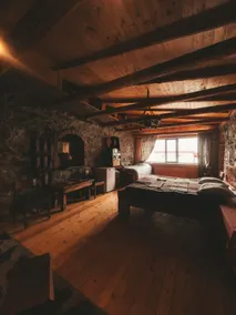 Kohi - Image 3