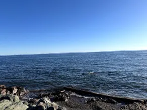 Beachfront House, Peaceful Spot - Image 2