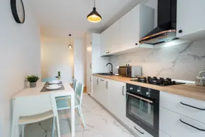 Papini's Modern Apartment in Aviatiei - Large Sunny Terrace - Image 4