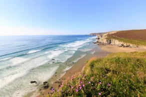 House with hot tub, walking distance to surf beach - Image 4
