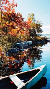 Secluded Waterfront Cabin - Image 2