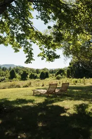 Spectacular Views! Large Home on 63 Acre Farm - Image 5