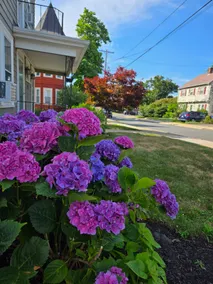 Skyline view spacious 3bd close Boston/beach/Airpt - Image 5