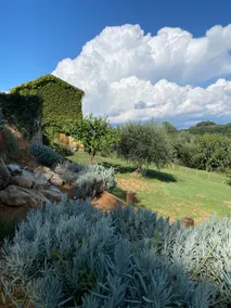 Palazzo del Papa Country Suites - Image 4