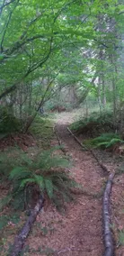Bliss+Solitude, Peaceful Nature Escape 3min to I-5 - Image 4