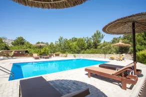 Villa in the Woods - Image 2